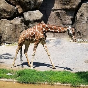 Meet your Posher, Ktk